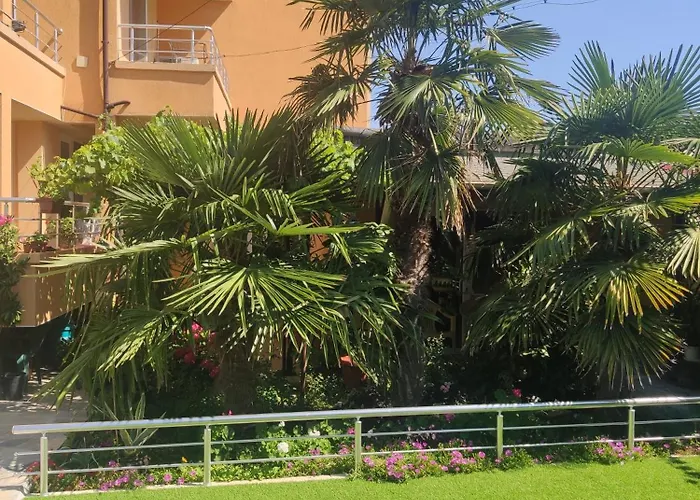 за гости левтерови Tjernomorets